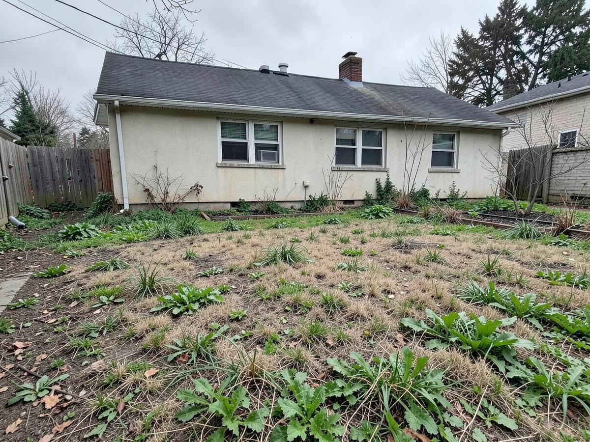 Front yard before landscaping: bare, weedy lawn